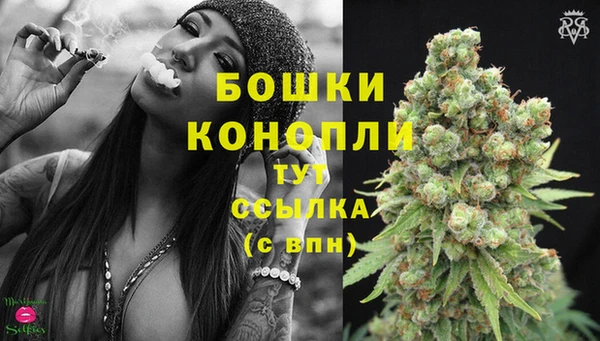 ECSTASY Пересвет