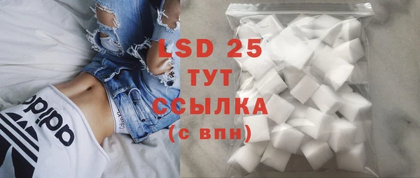 ECSTASY Пересвет