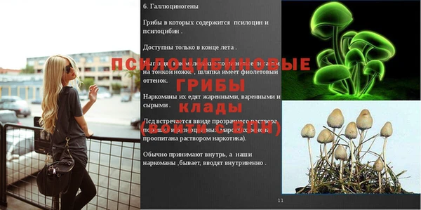 не бодяженный Волоколамск