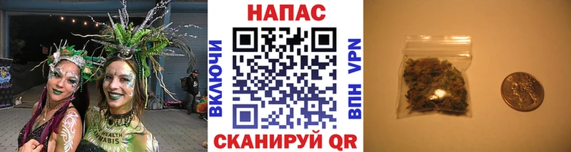 Шишки марихуана Amnesia  купить  цена  blacksprut сайт  Елец 
